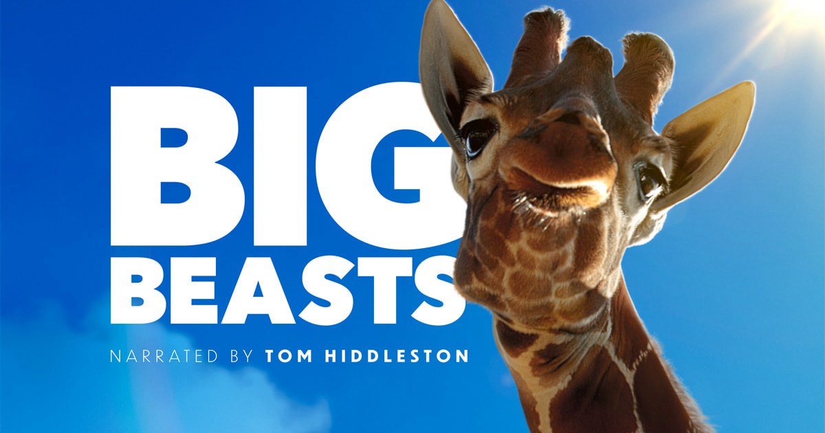 Phim Big Beasts